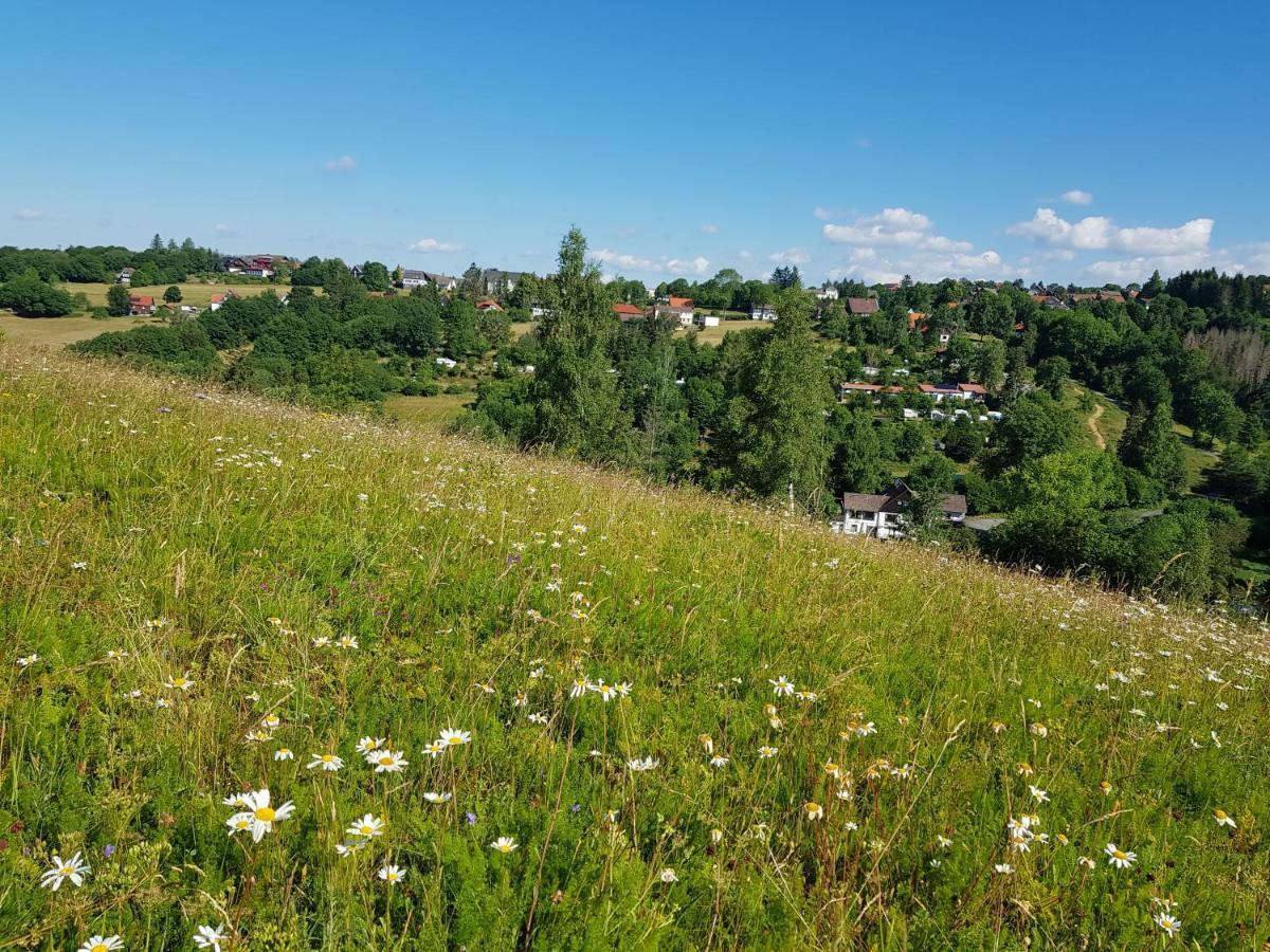 ホテル Haus Waldblick Hohegeiß エクステリア 写真