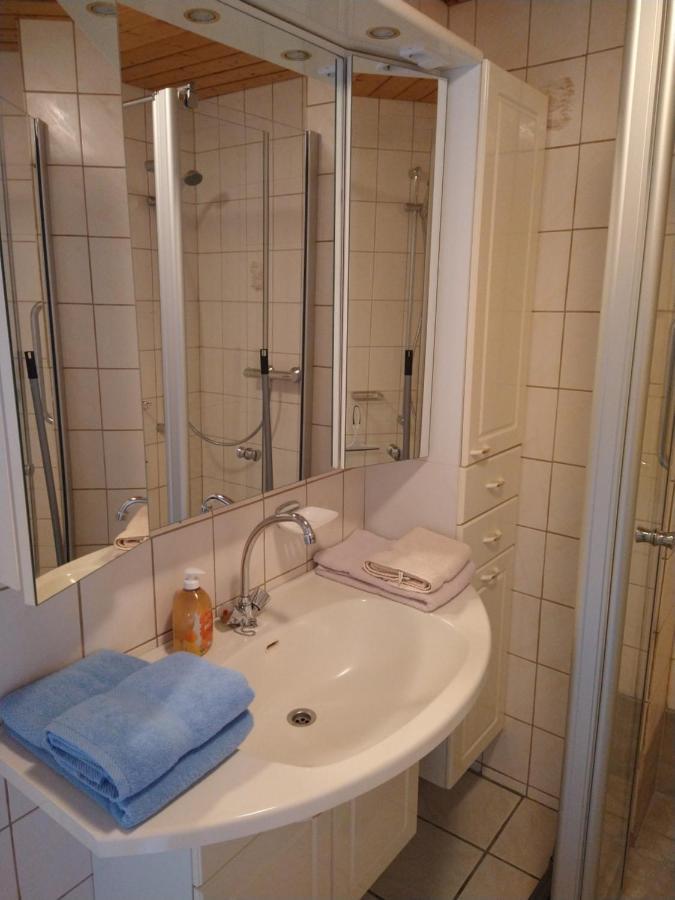ホテル Haus Waldblick Hohegeiß エクステリア 写真